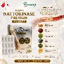 NATTO 60V 4.webp