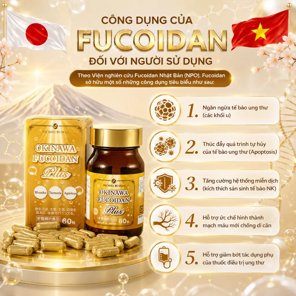 ChatGPT Image 01_20_00 10 thg 7, 2026.webp