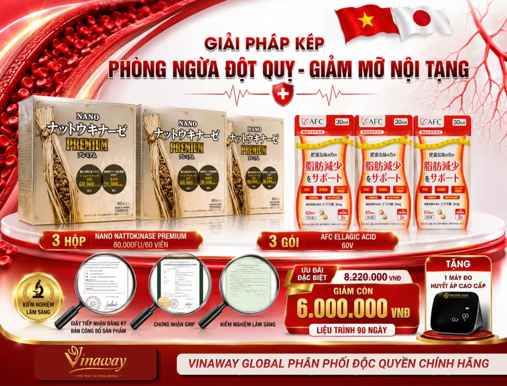 LIỆU TRÌNH 60NG (1).webp
