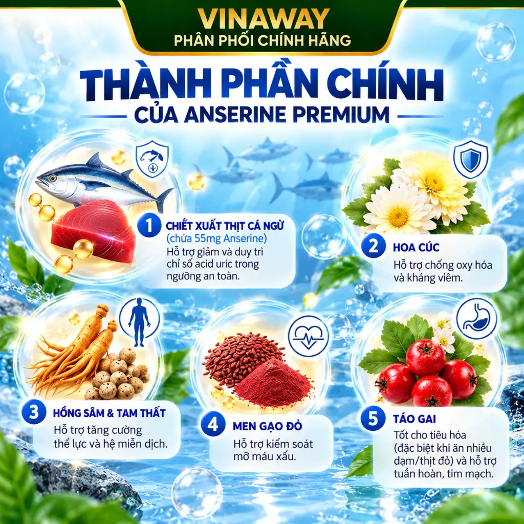 Vinaway Anserine Premium Ingredients Infographic.webp
