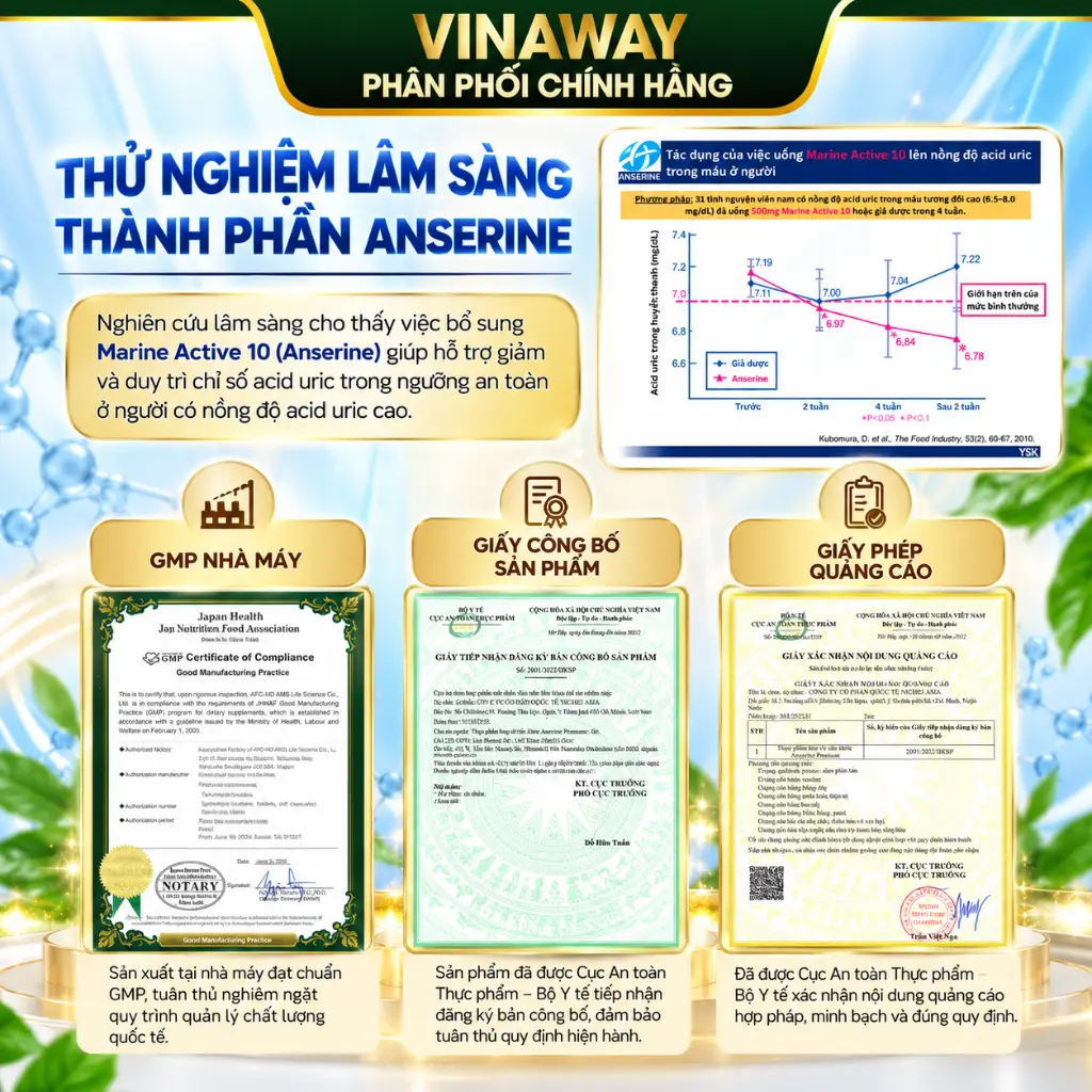 Thử nghiệm lâm sàng Anserine Vinaway.webp