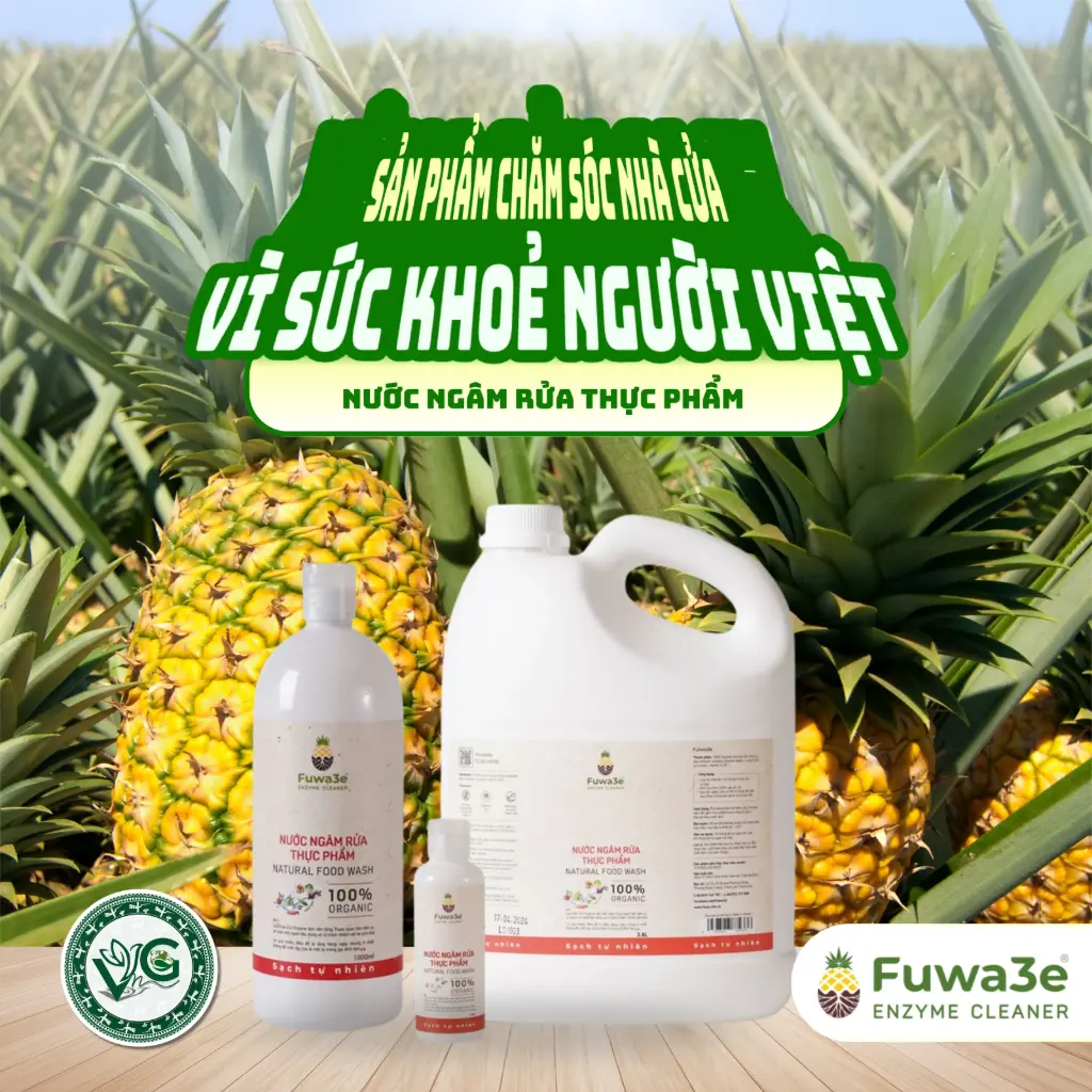 Nước Ngâm Rửa Thực Phẩm