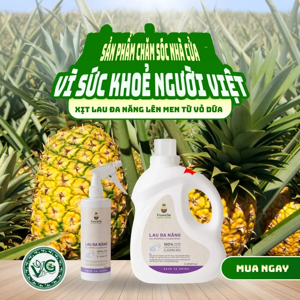 Nước Lau Đa Năng