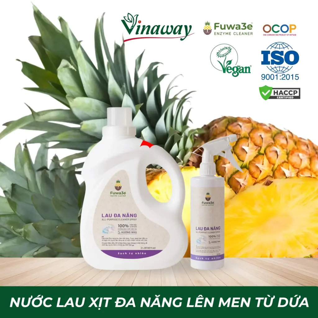 Nước Lau Đa Năng 500ml
