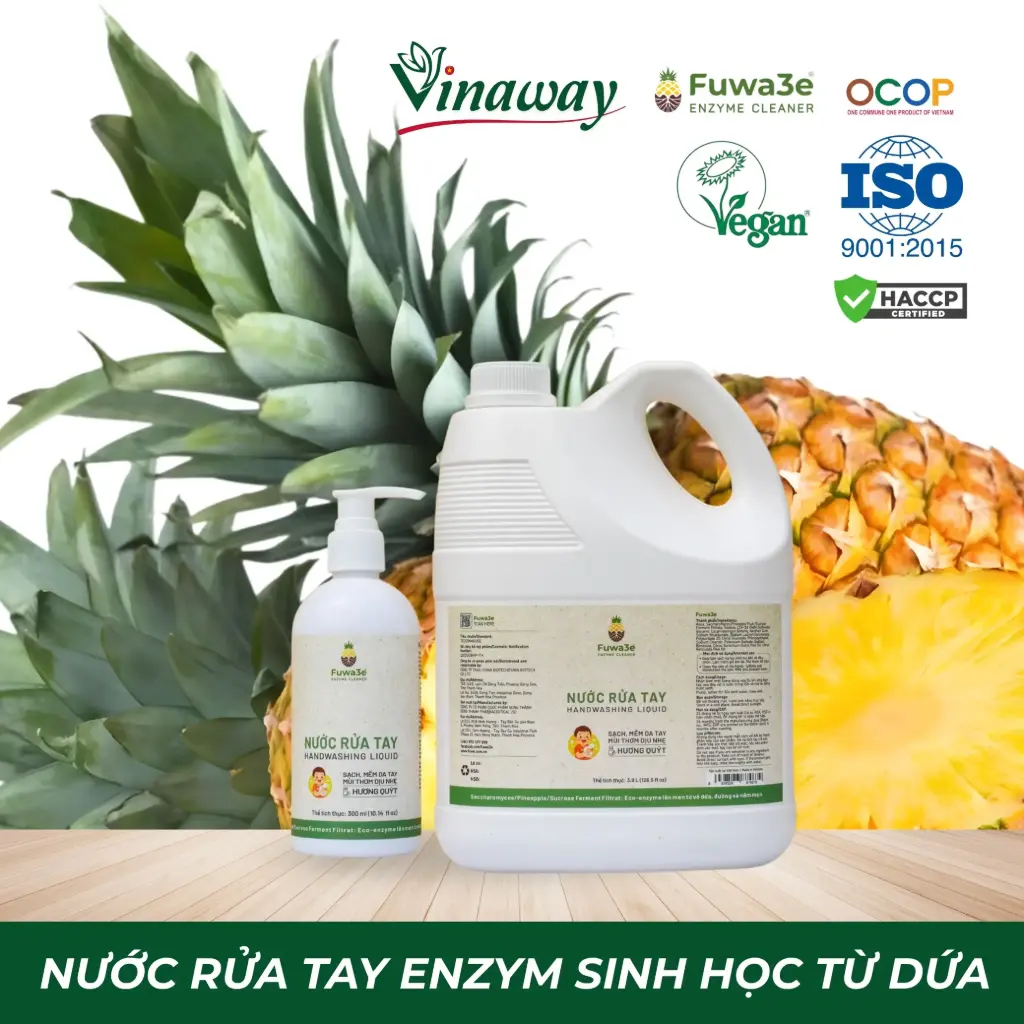 Nước rửa tay - 300ml (Hương Quýt)
